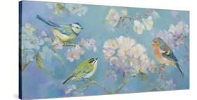 Birds in Blossom-Sarah Simpson-Stretched Canvas
