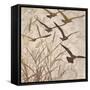 Birds in Flight 1-Melissa Pluch-Framed Stretched Canvas