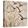 Birds in Flight 1-Melissa Pluch-Stretched Canvas