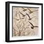 Birds in Flight 1-Melissa Pluch-Framed Art Print