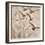 Birds in Flight 1-Melissa Pluch-Framed Art Print
