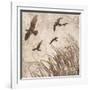 Birds in Flight 2-Melissa Pluch-Framed Art Print