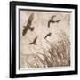 Birds in Flight 2-Melissa Pluch-Framed Art Print