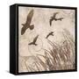 Birds in Flight 2-Melissa Pluch-Framed Stretched Canvas