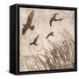 Birds in Flight 2-Melissa Pluch-Framed Stretched Canvas