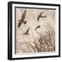 Birds in Flight 2-Melissa Pluch-Framed Art Print