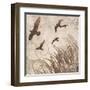 Birds in Flight 2-Melissa Pluch-Framed Art Print