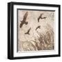 Birds in Flight 2-Melissa Pluch-Framed Art Print