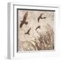 Birds in Flight 2-Melissa Pluch-Framed Art Print