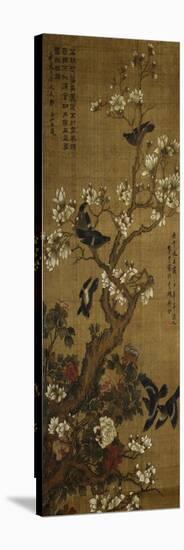 Birds in Flight and Perched on Blossoming Magnolia Branches-null-Stretched Canvas