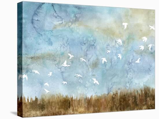 Birds in Flight I-Megan Meagher-Stretched Canvas