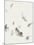 Birds in Flight - Swoop-Kristine Hegre-Mounted Giclee Print