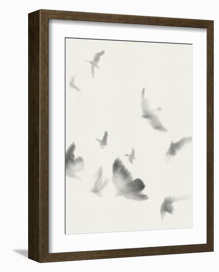 Birds in Flight - Swoop-Kristine Hegre-Framed Giclee Print