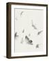 Birds in Flight - Swoop-Kristine Hegre-Framed Giclee Print