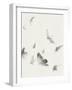 Birds in Flight - Swoop-Kristine Hegre-Framed Giclee Print