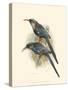 Birds in Nature III-J.C. Keulemans-Stretched Canvas