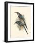 Birds in Nature III-J.C. Keulemans-Framed Art Print