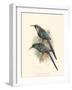 Birds in Nature III-J.C. Keulemans-Framed Art Print