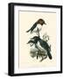 Birds in Nature IV-J.C. Keulemans-Framed Art Print