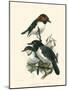 Birds in Nature IV-J.C. Keulemans-Mounted Art Print