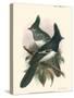 Birds in Nature V-J.C. Keulemans-Stretched Canvas