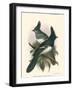 Birds in Nature V-J.C. Keulemans-Framed Art Print