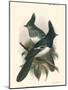 Birds in Nature V-J.C. Keulemans-Mounted Art Print