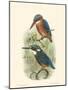 Birds in Nature VI-J.C. Keulemans-Mounted Art Print