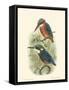 Birds in Nature VI-J.C. Keulemans-Framed Stretched Canvas