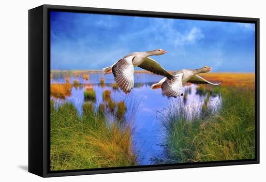 Birds In Nature-Ata Alishahi-Framed Stretched Canvas