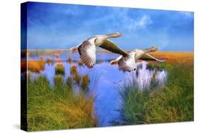 Birds In Nature-Ata Alishahi-Stretched Canvas