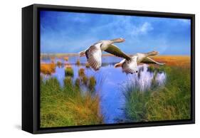 Birds In Nature-Ata Alishahi-Framed Stretched Canvas