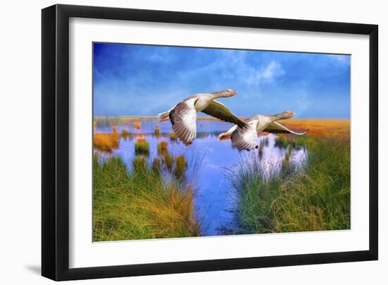 Birds In Nature-Ata Alishahi-Framed Giclee Print
