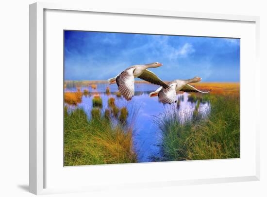 Birds In Nature-Ata Alishahi-Framed Giclee Print