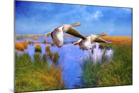 Birds In Nature-Ata Alishahi-Mounted Giclee Print