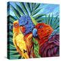 Birds in Paradise I-Carolee Vitaletti-Stretched Canvas