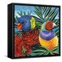 Birds in Paradise II-Carolee Vitaletti-Framed Stretched Canvas