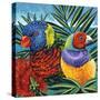 Birds in Paradise II-Carolee Vitaletti-Stretched Canvas