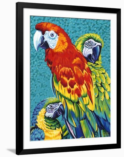 Birds in Paradise III-Carolee Vitaletti-Framed Art Print