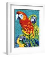 Birds in Paradise III-Carolee Vitaletti-Framed Art Print