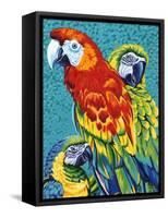 Birds in Paradise III-Carolee Vitaletti-Framed Stretched Canvas