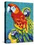 Birds in Paradise III-Carolee Vitaletti-Stretched Canvas