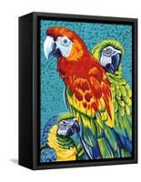 Birds in Paradise III-Carolee Vitaletti-Framed Stretched Canvas