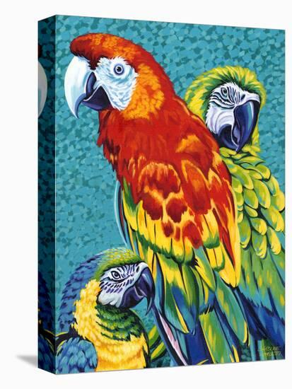 Birds in Paradise III-Carolee Vitaletti-Stretched Canvas