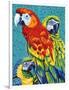 Birds in Paradise III-Carolee Vitaletti-Framed Art Print