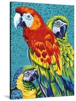 Birds in Paradise III-Carolee Vitaletti-Stretched Canvas