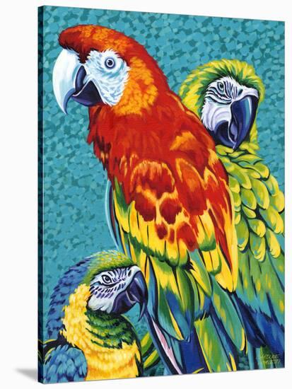 Birds in Paradise III-Carolee Vitaletti-Stretched Canvas