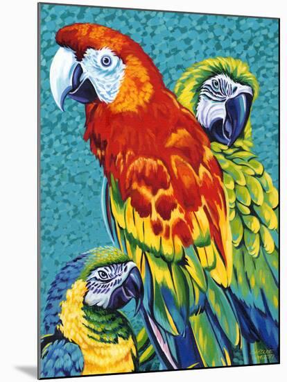 Birds in Paradise III-Carolee Vitaletti-Mounted Art Print