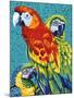 Birds in Paradise III-Carolee Vitaletti-Mounted Art Print