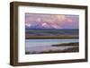 Birds in pond with Ear Mountain, Freezeout Lake Wildlife Management Area near Choteau, Montana-Chuck Haney-Framed Photographic Print